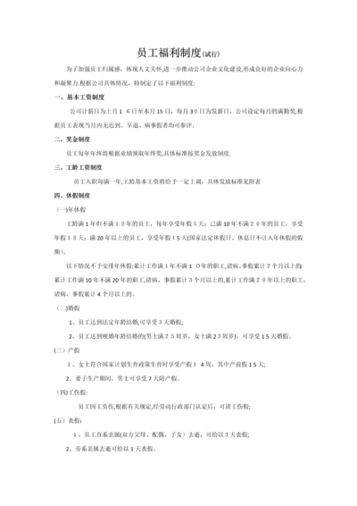 员工福利制度(试行).docx