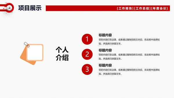 项目工作总结汇报