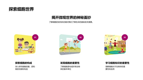 细胞知识讲解PPT模板