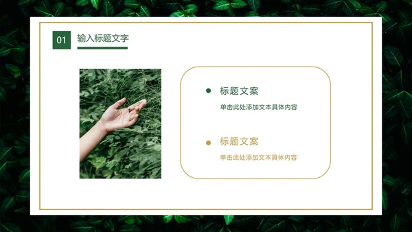 树叶草丛图清新教学PPT模板