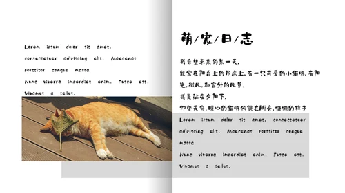 简约宠物萌宠画册电子相册通用PPT模板