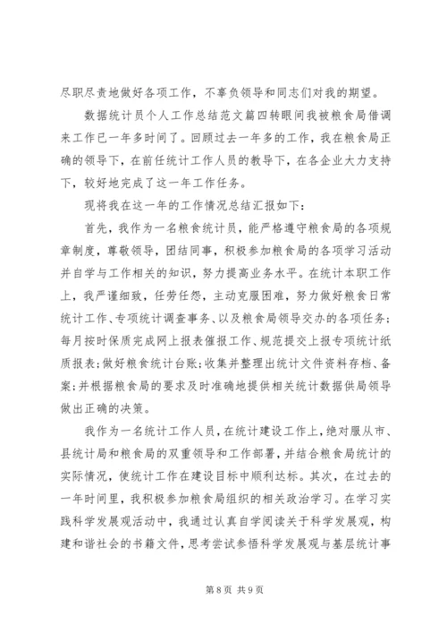 数据统计分析系统数据统计员个人工作总结与计划.docx