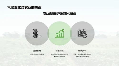国潮风教育培训学术答辩PPT模板