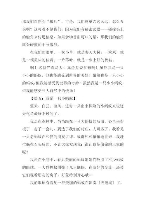 一只小蚂蚁作文.docx