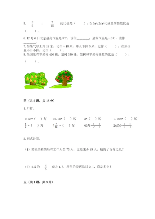洛阳市小学数学小升初试卷及参考答案（综合题）.docx