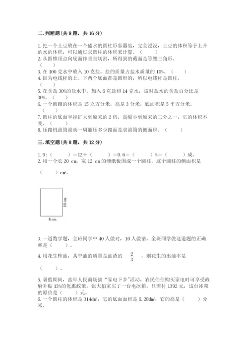 苏教版六年级下册数学期中测试卷精品【考点梳理】.docx