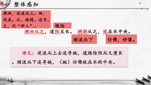 12《诗经》二首《蒹葭》课件(共19张PPT)