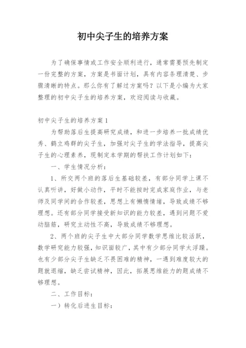 初中尖子生的培养方案.docx