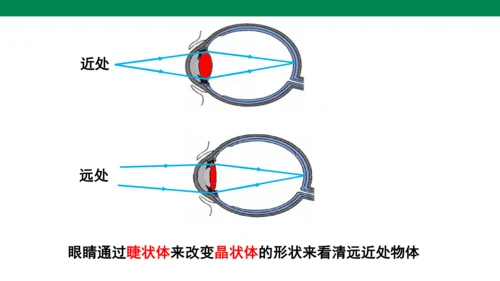 人教版第五章透镜及其应用第4节眼睛和眼镜 课件 (共23张PPT)