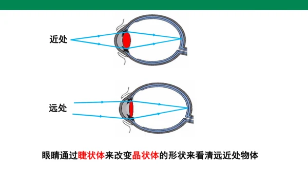 人教版第五章透镜及其应用第4节眼睛和眼镜 课件 (共23张PPT)