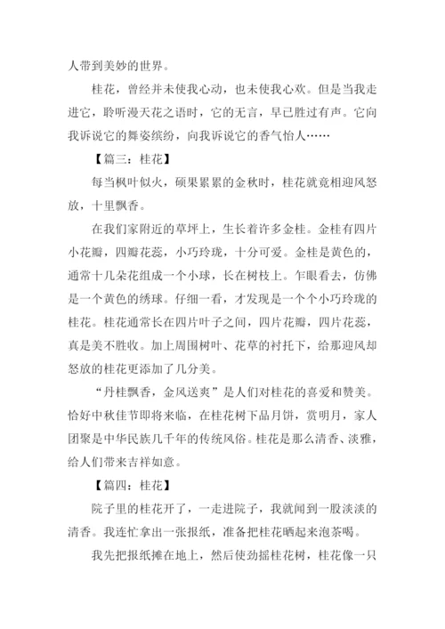 描写桂花的作文300字.docx