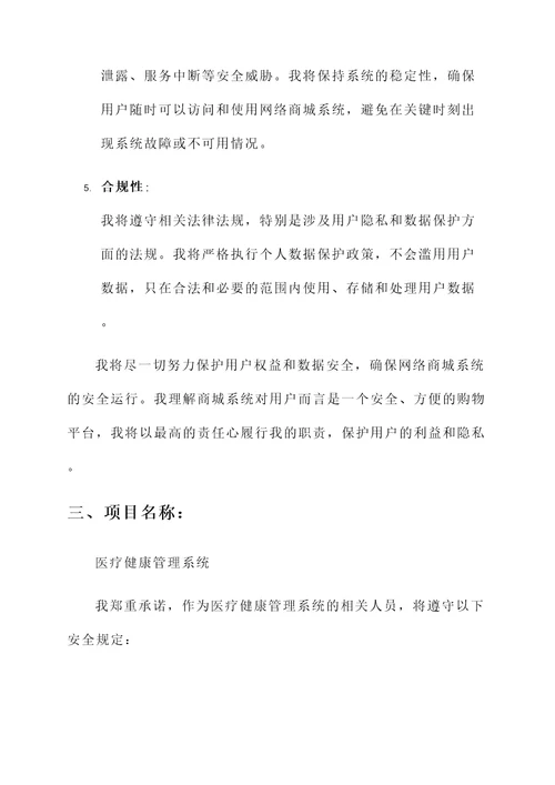 个人项目安全承诺书