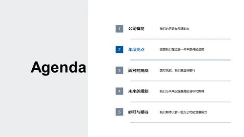 年度总结与未来展望