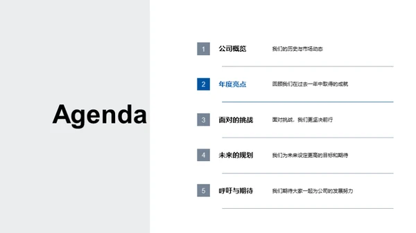 年度总结与未来展望