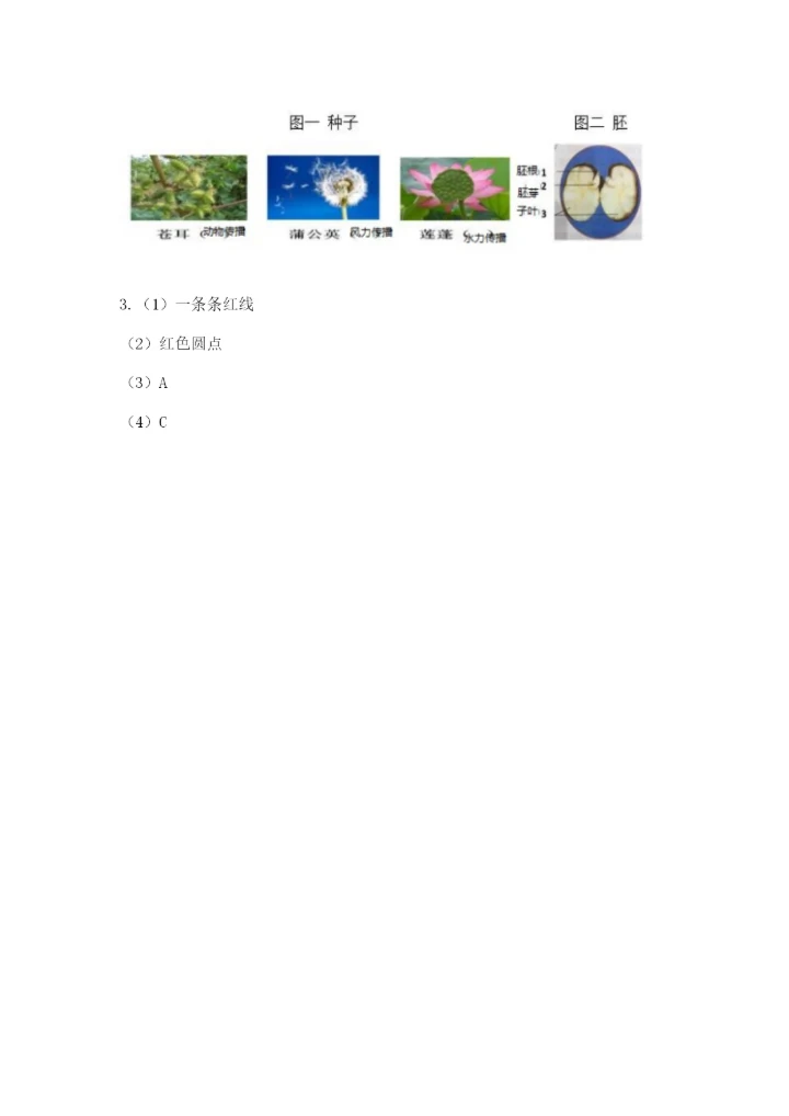 科学四年级下册第一单元《植物的生长变化》测试卷含完整答案（易错题）.docx