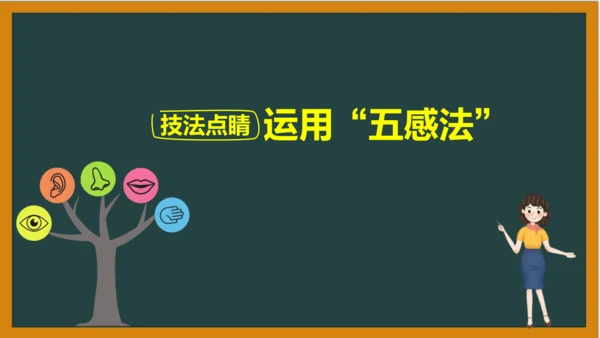 统编版语文四年级上册 第三单元习作：  写观察日记课件