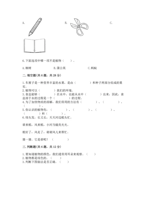 教科版科学一年级上册第一单元《植物》测试卷【易错题】.docx