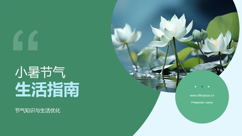 小暑节气生活指南