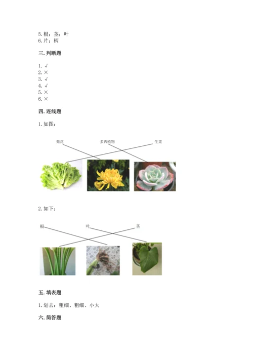 教科版科学一年级上册第一单元《植物》测试卷及完整答案（夺冠）.docx