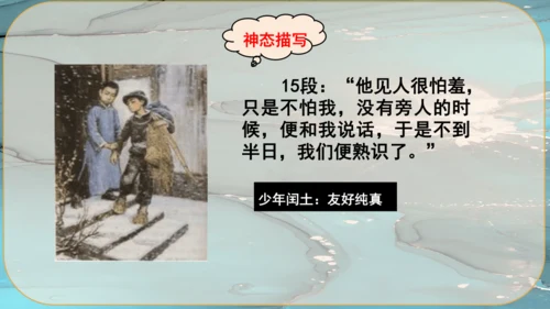 15《故乡》课件