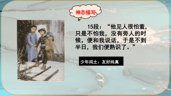 15《故乡》课件