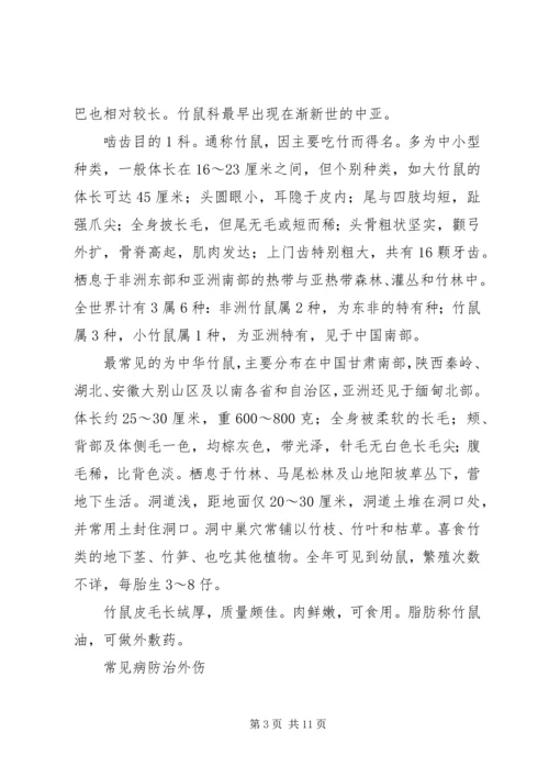 竹鼠养殖计划书 (2).docx