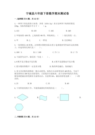 宁城县六年级下册数学期末测试卷带答案.docx