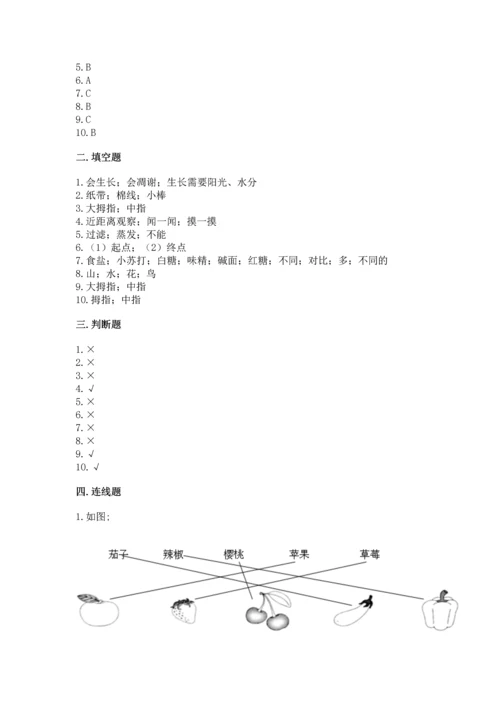 教科版一年级上册科学期末测试卷【培优】.docx