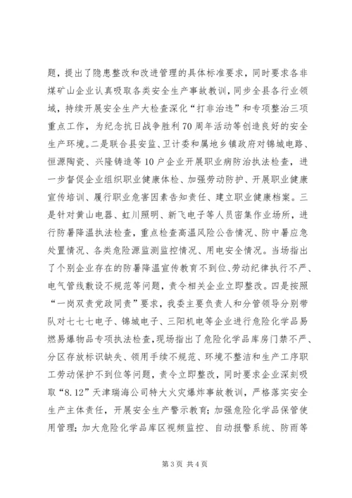 乡镇经信委年度安全生产排查工作总结.docx