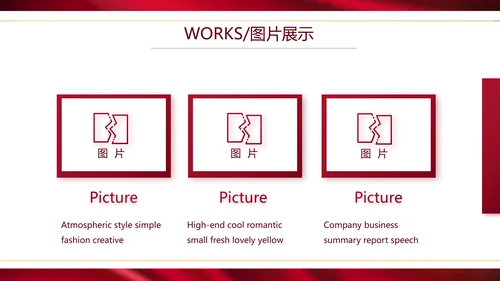 高端公司品牌产品介绍策划方案工作总结PPT