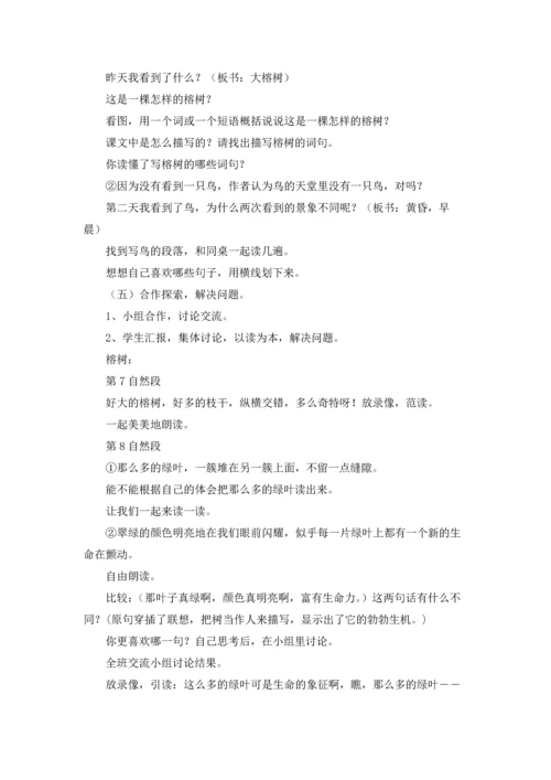 关于鸟的天堂教案7篇.docx