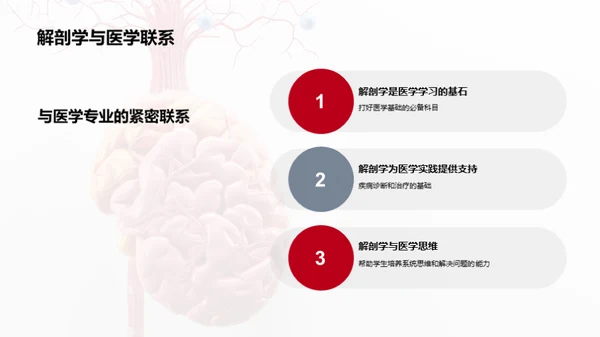 解剖学的医学精要