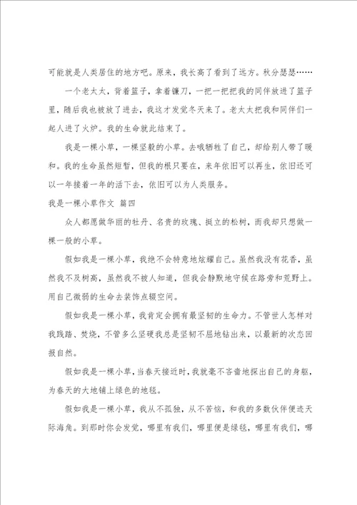 我是一棵小草作文优秀6篇