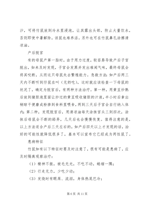 竹鼠养殖计划书 (2).docx