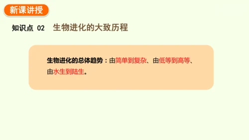 7.3.2生物进化的历程-八年级生物人教版下学期同步精品课件(共34张PPT)
