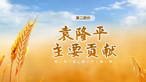 黄色实拍稻穗522纪念杂交水稻之父袁隆平主题班会PPT纪念袁隆平