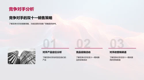 双十一新品推广报告