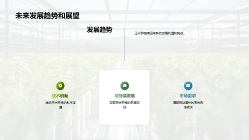 玉米种植升级之路