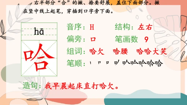 13、画杨桃（第一课时）  课件