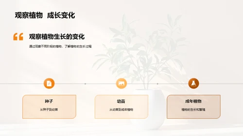 揭秘植物生长奇观