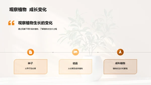 揭秘植物生长奇观