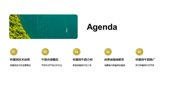 揭秘转基因牛奶