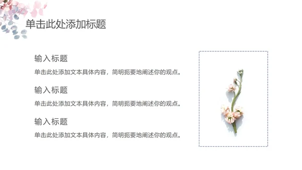淡雅简约教育教学ppt模板