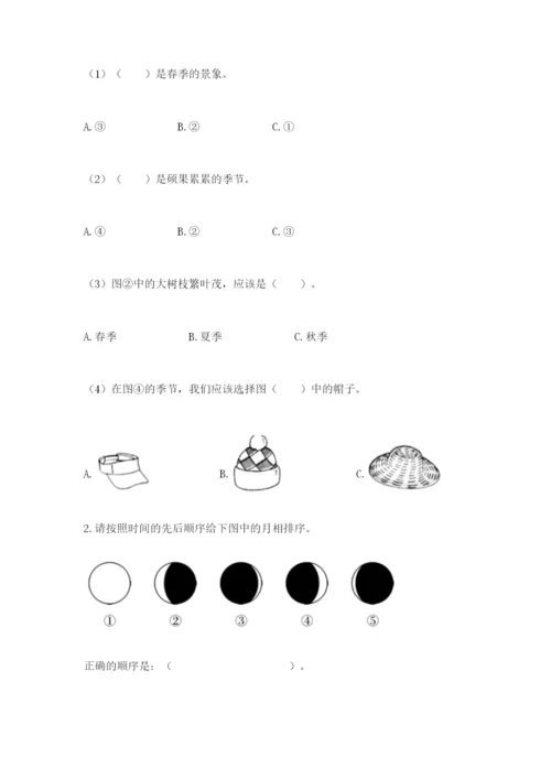 教科版科学二年级上册期末测试卷（各地真题）.docx