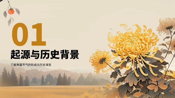 橙色中国风寒露节气PPT模板