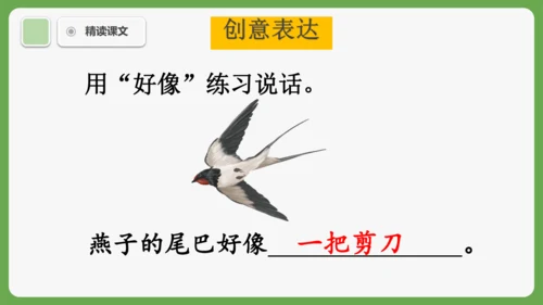 8《比尾巴》课件