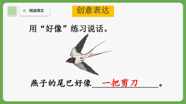 8《比尾巴》课件