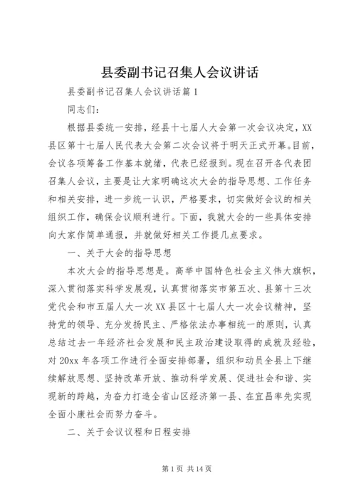 县委副书记召集人会议讲话.docx