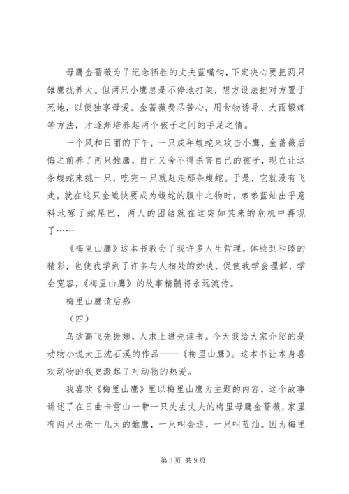 梅里山鹰读后感.docx