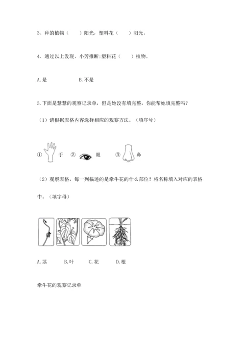 教科版科学一年级上册第一单元《植物》测试卷含完整答案（全优）.docx